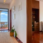 Clarisse's House I, A In Madeira Apartament *